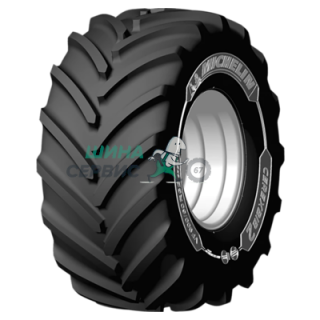 CereXbib 2 CFO+